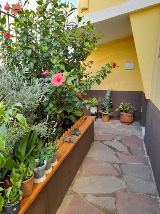 El Rincon De Nina Vakantiehuis